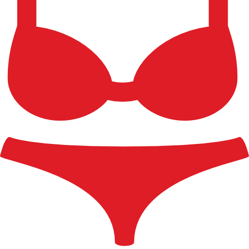 Lingerie Store POS - Retail Point of Sale and Inventory Management
